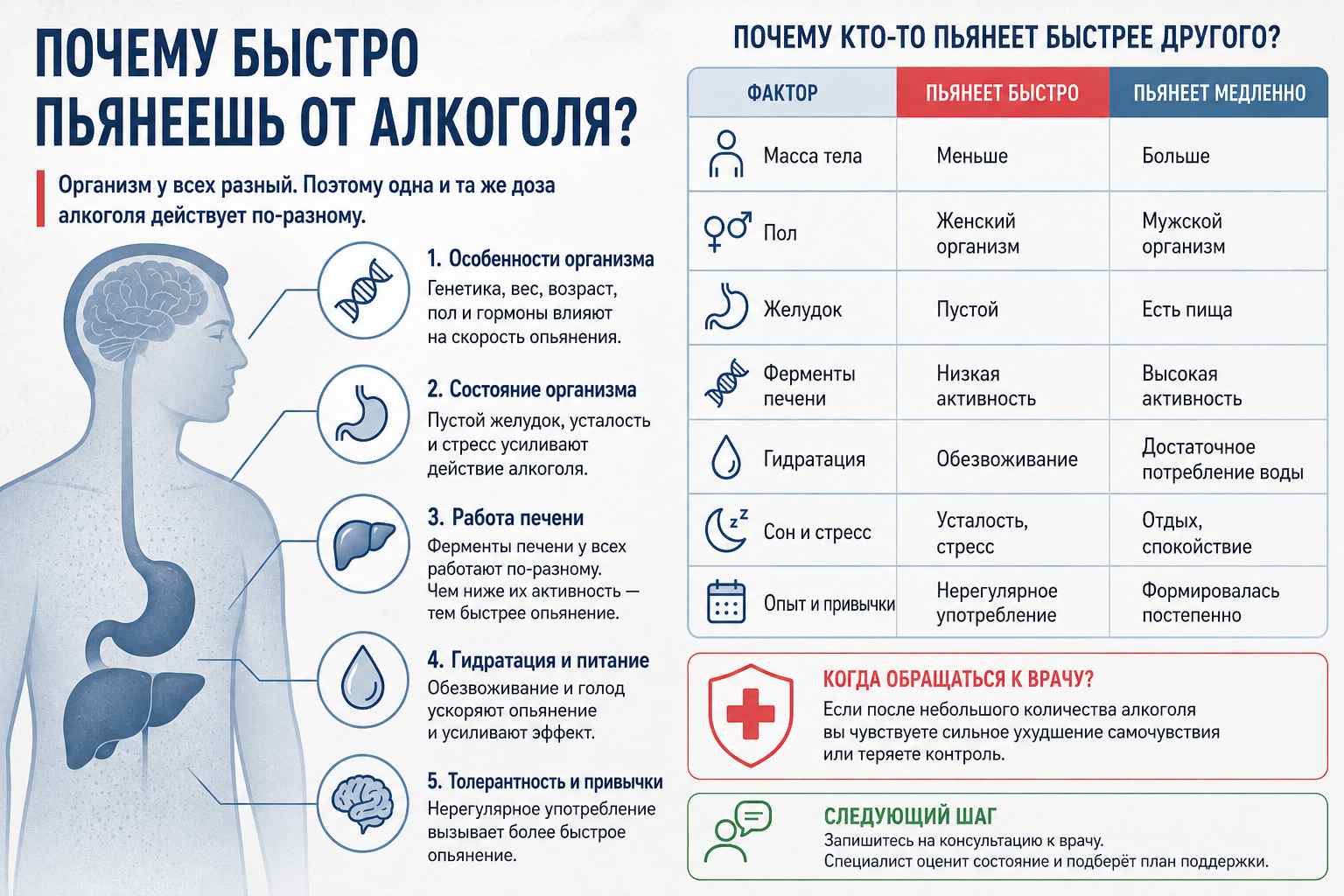 Инфографика объясняет почему происходит быстрое опьянение от алкоголя