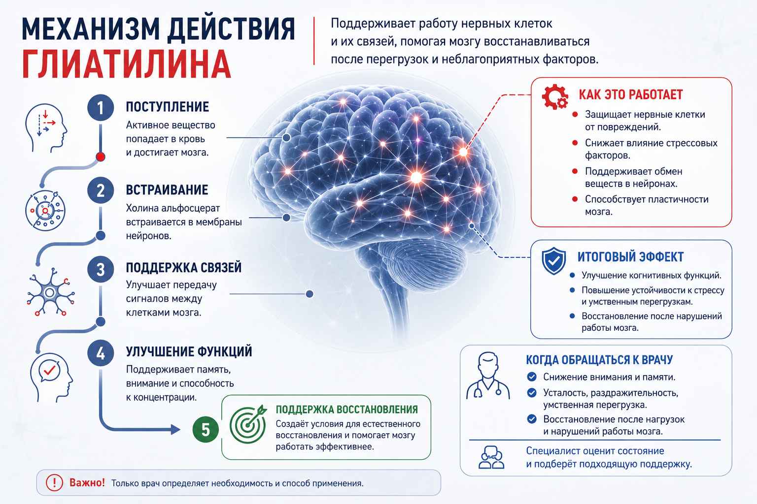 Инфографика объясняет механизм действия Глиатилина